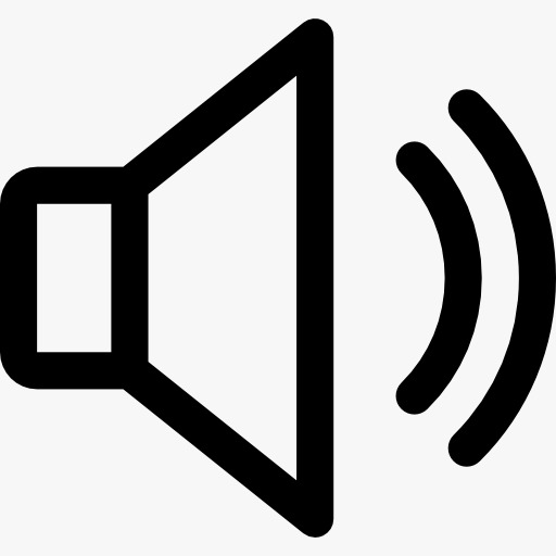 Supports audio input and output
